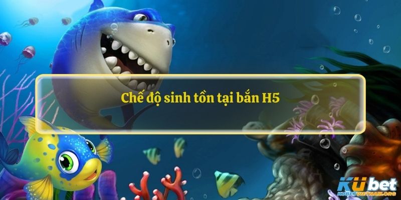 Chế độ sinh tồn tại bắn H5