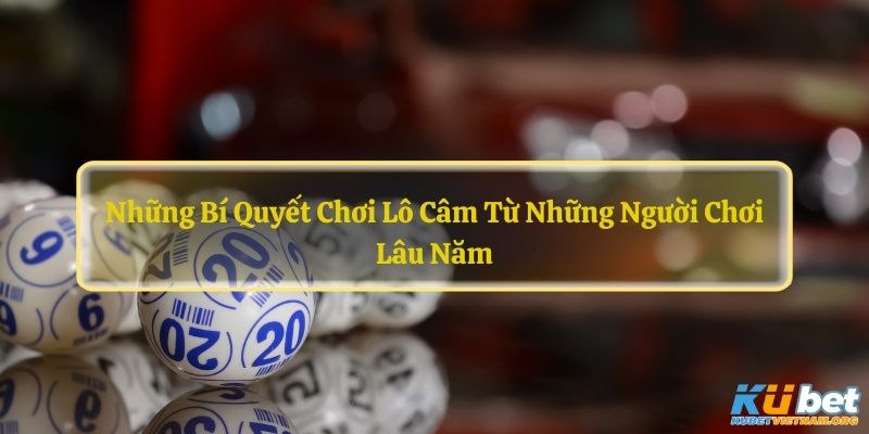 Những Bí Quyết Chơi Lô Câm Từ Những Người Chơi Lâu Năm