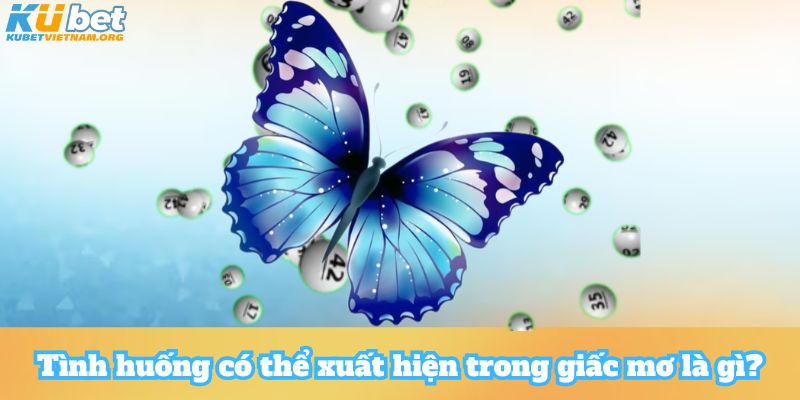 Tình huống có thể xuất hiện trong giấc mơ là gì?